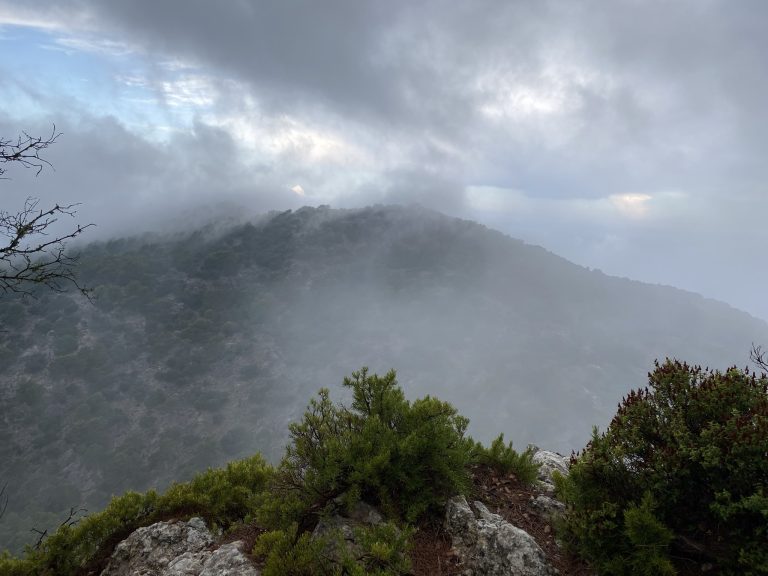 Tramontana – Mallorcas fine bjergkæde